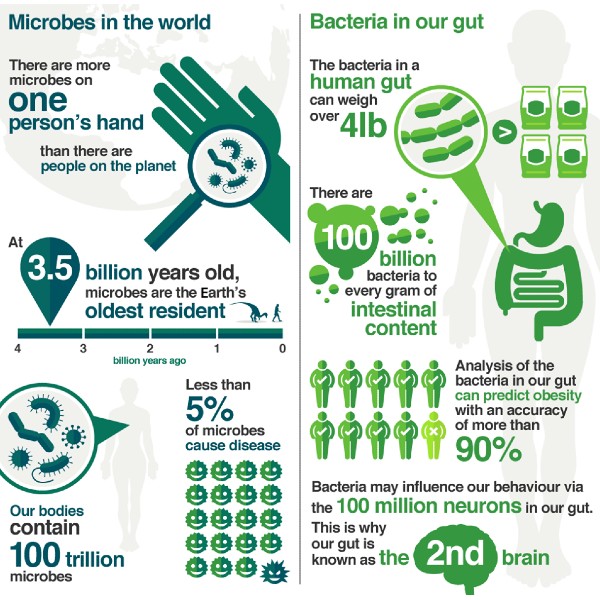 bacterien in de darm