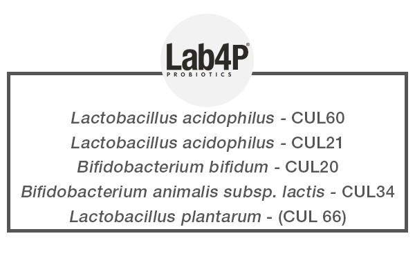 lab4p probiotica