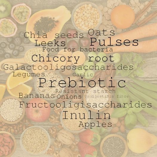 probiotica in voeding